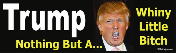 TRUMP - Nothing But A Whiny Little Bitch - Laptop/Window/Bumper Sticker